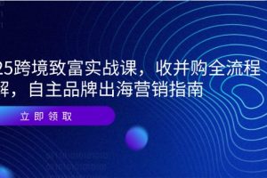 【第9505期】2025跨境致富实战课，收并购全流程拆解，自主品牌出海营销指南