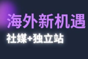 【第9447期】2025出海新机遇(社媒+独立站),海外新机遇,实现独立站的高效运营与出海
