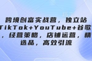 【第9322期】跨境创富实战营，独立站+TikTok+YouTube+谷歌广告，经营策略，店铺运营，精准选品，高效引流
