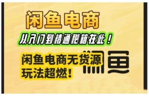 【第8992期】闲鱼电商实战课，从入门到精通秘籍在此，闲鱼电商无货源玩法超燃!