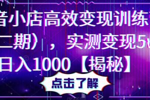 【第4935期】抖音小店怎么运营：抖音小店高效变现训练营（第二期）,实测变现日入1000+