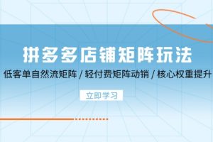 【第8354期】拼多多店铺矩阵玩法：低客单自然流矩阵 / 轻付费矩阵 动销 / 核心权重提升