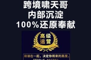 【第9288期】跨境特训营-跨境电商教程