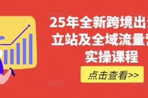 【第9130期】25年全新跨境出海独立站及全域流量营销实操课程，跨境电商独立站TIKTOK全域营销普货特货玩法大全
