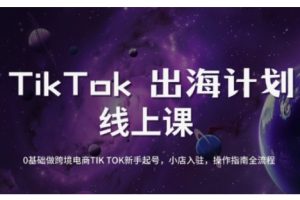 【第9114期】TikTok跨境电商新手起号与运营全攻略，0基础做跨境电商TIKTOK新手起号，小店入驻，操作指南全流程
