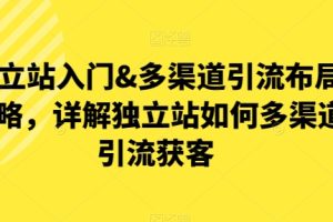 【第9106期】独立站入门&多渠道引流布局策略，详解独立站如何多渠道引流获客