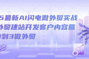 【第9028期】2025最新AI闪电做外贸实战课，外贸建站开发客户内容营销从0到3做外贸