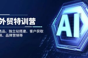 【第9020期】AI外贸特训营：AI快速选品、独立站搭建、客户获取、邮件营销、品牌营销等