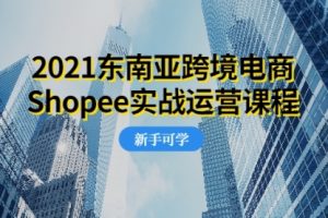 【副业2401期】2021东南亚跨境电商Shopee-超值的实战运营视频课程
