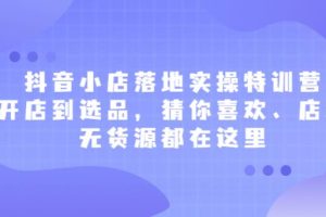 【副业2647期】抖店如何经营：抖音小店落地实操特训营，从开店到选品（店群、无货源）