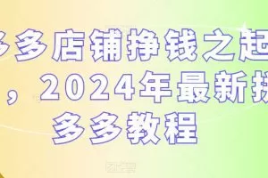【第6981期】多多店铺挣钱之起店，2024年最新拼多多教程