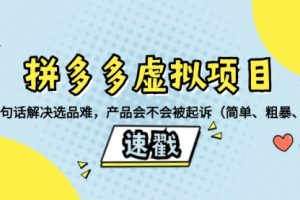 【第6615期】拼多多虚拟项目：三两句话解决选品难，产品会不会被起诉