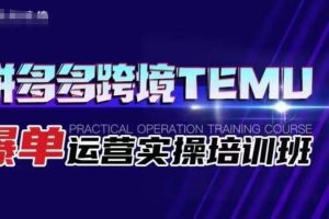 【第5601期】跨境电商拼多多temu爆单运营实操培训班，海外拼多多的选品、运营、爆单