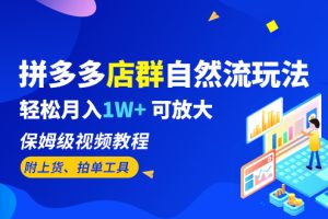 【第5365期】拼多多店群如何操作：拼多多店群自然流玩法，保姆级视频教程月入1W+ （附上货、拍单工具）
