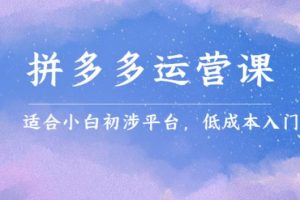 【副业2765期】拼多多如何开店：拼多多运营课，适合小白初涉平台，低成本入门