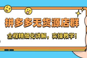 【副业2668期】拼多多无货源店群：系统实操讲解，无货源店群必备