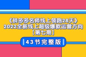 【副业3616】《拼多多名师线上领跑28天》2022全新线上超级爆款运营方向【第七期】43节课