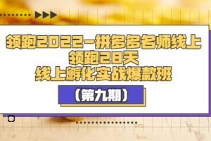 【副业3615】拼多多怎么开店：领跑2022-拼多多名师线上领跑28天（第九期）
