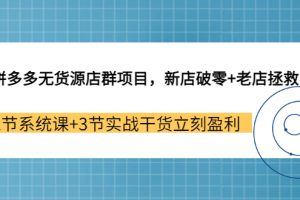 【副业3487期】拼多多无货源店群怎么做，新店破零+老店拯救，玩转拼多多开店盈利