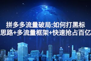 【副业3170期】拼多多流量怎么做起来：如何打黑标，爆款思路+多流量框架+快速抢占百亿流量