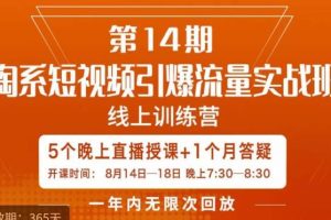 【第5605期】淘宝短视频引流推广怎么做：淘系短视频引爆淘宝流量实战班（全套教程）