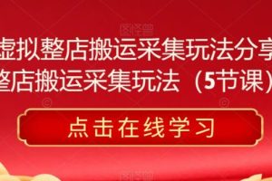 【第5038期】淘宝虚拟店铺怎么做：淘宝虚拟店铺整店搬运采集玩法教程（5节课）