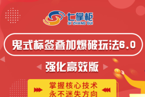 【第4834期】鬼脚七·淘宝鬼式标签叠加玩法6.0-鬼哥标签玩法强化高效版，价值5800