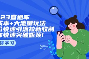 【第4693期】淘宝直通车的投放技巧：2023直通小成本+大流量玩法，低价快速引流