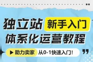 【第8826期】独立站新手入门体系化运营教程,助力独立站卖家从0-1快速入门