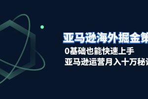 【第8733期】亚马逊海外掘金策略，0基础也能快速上手，亚马逊运营月入十万秘诀