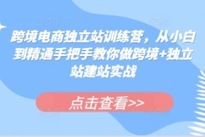 【第8680期】跨境电商独立站训练营，从小白到精通手把手教你做跨境+独立站建站实战