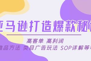 【副业4280期】亚马逊打造爆款方法：高客单高利润推品方法类目广告玩法SOP详解