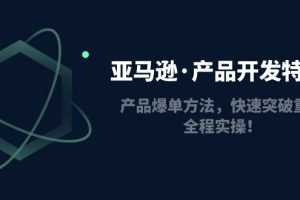 【副业4278期】亚马逊爆单技巧：产品快手爆单方法全程实操，亚马逊·产品开发特训营