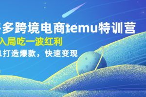 【副业4104期】拼多多跨境电商temu特训营：从0到1打造爆款，快速拼多多跨境变现