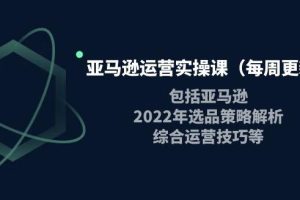 【副业3830】亚马逊电商怎么做：亚马逊2022选品策略解析，综合运营实操技巧