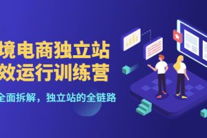 【副业3381期】独立站跨境电商怎么做：跨境电商独立站高效运行训练营（全套视频）