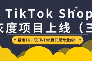 【副业3349期】跨境电商怎么开店铺：TikTok Shop出海训练营，抢占新流量，一店卖全球