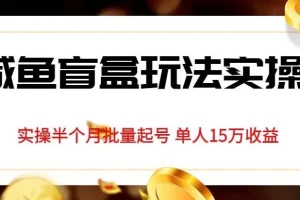 【第5674期】闲鱼盲盒怎么玩：咸鱼盲盒玩法实操，半个月批量起号单人15万收益