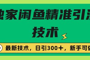 【第5467期】闲鱼怎么引流推广：独家闲鱼引流技术，实战玩法日引300＋