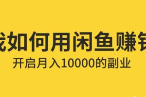 【第5449期】闲鱼无货源赚钱实操：闲鱼无货源必备神器(利润翻倍)，成本最低全套教程