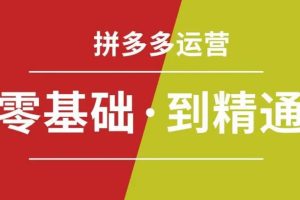 【第5176期】拼多多运营怎么做：拼多多运营必听14节课，拒绝口嗨，全后台实操演示教程