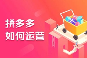 【第5164期】拼多多运营怎么做：2023全新拼多多运营玩法实操教程系列课
