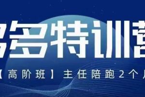 【第5128期】拼多多怎么开店：5月最新拼多多玩法落地实操特训营高阶班全套教程