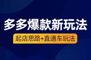【第5095期】多多直通车实操玩法+多多爆款新玩法（起店思路+直通车玩法）