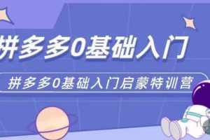 【第4888期】拼多多网上怎么开店：拼多多运营0-1实操，从基础到进阶实操玩法
