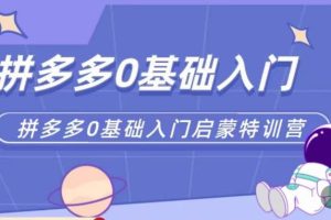【第4757期】拼多多网上怎么开店：0-1实操特训营，拼多多从基础到进阶实操玩法