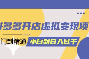 【第4674期】拼多多虚拟店铺怎么开：从小白到日入1000（4月10完整版）拼多多开店虚拟变现项目