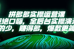 【第4653期】拼多多怎么开店运营：全后台实操演示，拼多多实操运营课