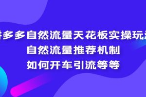 【第4603期】拼多多流量怎么做起来：拼多多自然流量天花板实操玩法教程