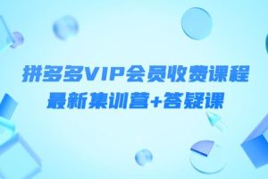 【副业3901】如何用拼多多赚钱：拼多多VIP会员最新集训营+答疑课-价值3299元